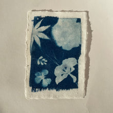 Load image into Gallery viewer, Cyanotype Print