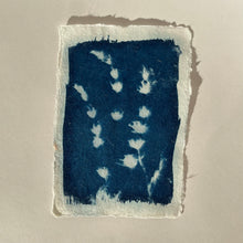 Load image into Gallery viewer, Cyanotype Print