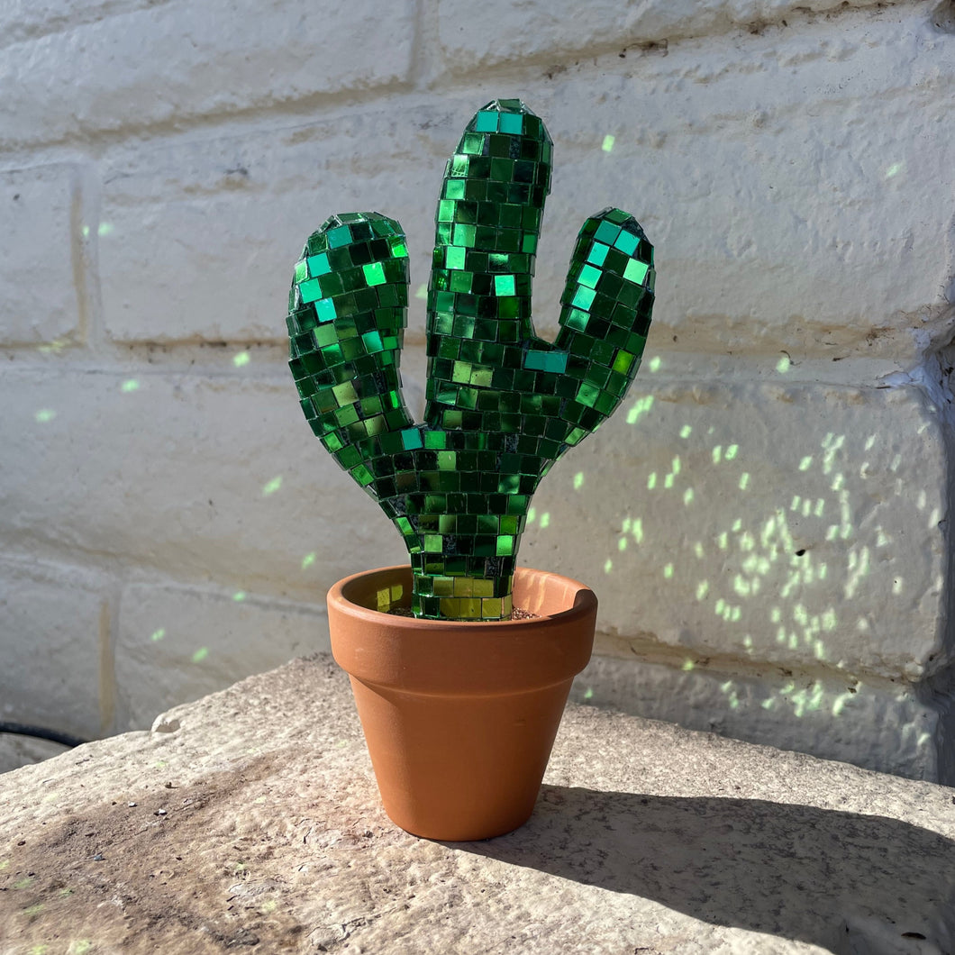 Disco Cactus