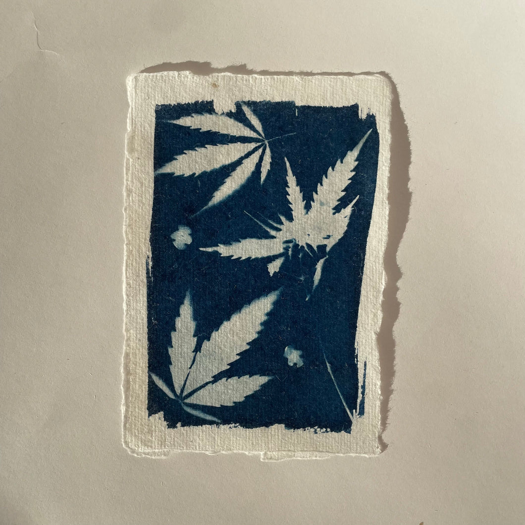 Mary Cyanotype Print