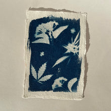 Load image into Gallery viewer, Sticky Sweet Cyanotype Print
